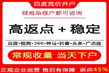 竞价推广实战：经典案例深度解析